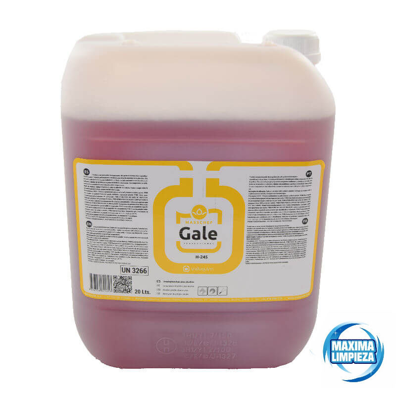 0010828-gale-limpiaplanchas-alcalino-gale-h245-maximalimpieza