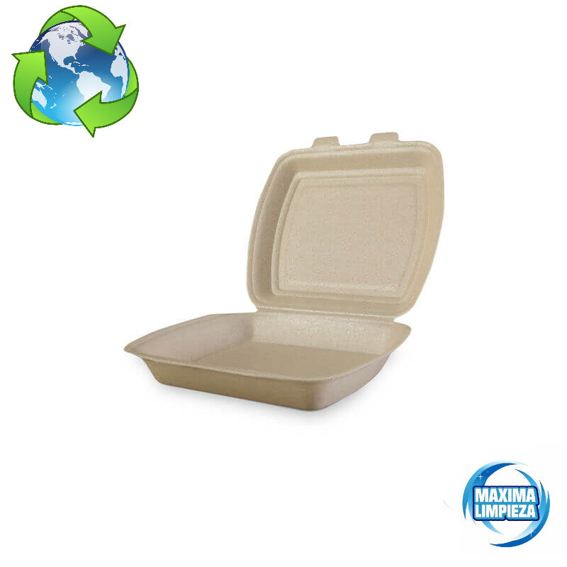 1634222-envase-sandwich-xpp-grande-maximalimpieza